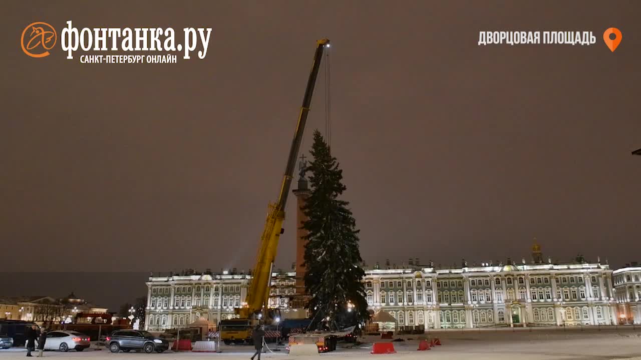 Главная новогодняя ель приехала на Дворцовую площадь в Петербурге - 12  декабря 2023 - ФОНТАНКА.ру