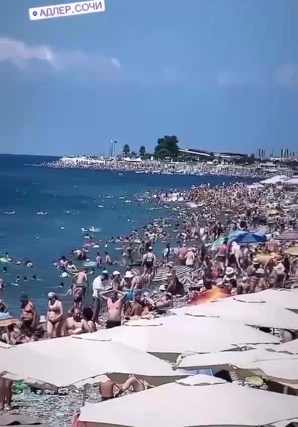 Хотите верьте, хотите нет»: забитый туристами пляж в Сочи сняли на видео. 25 июля 2023 г. Кубанские новости
