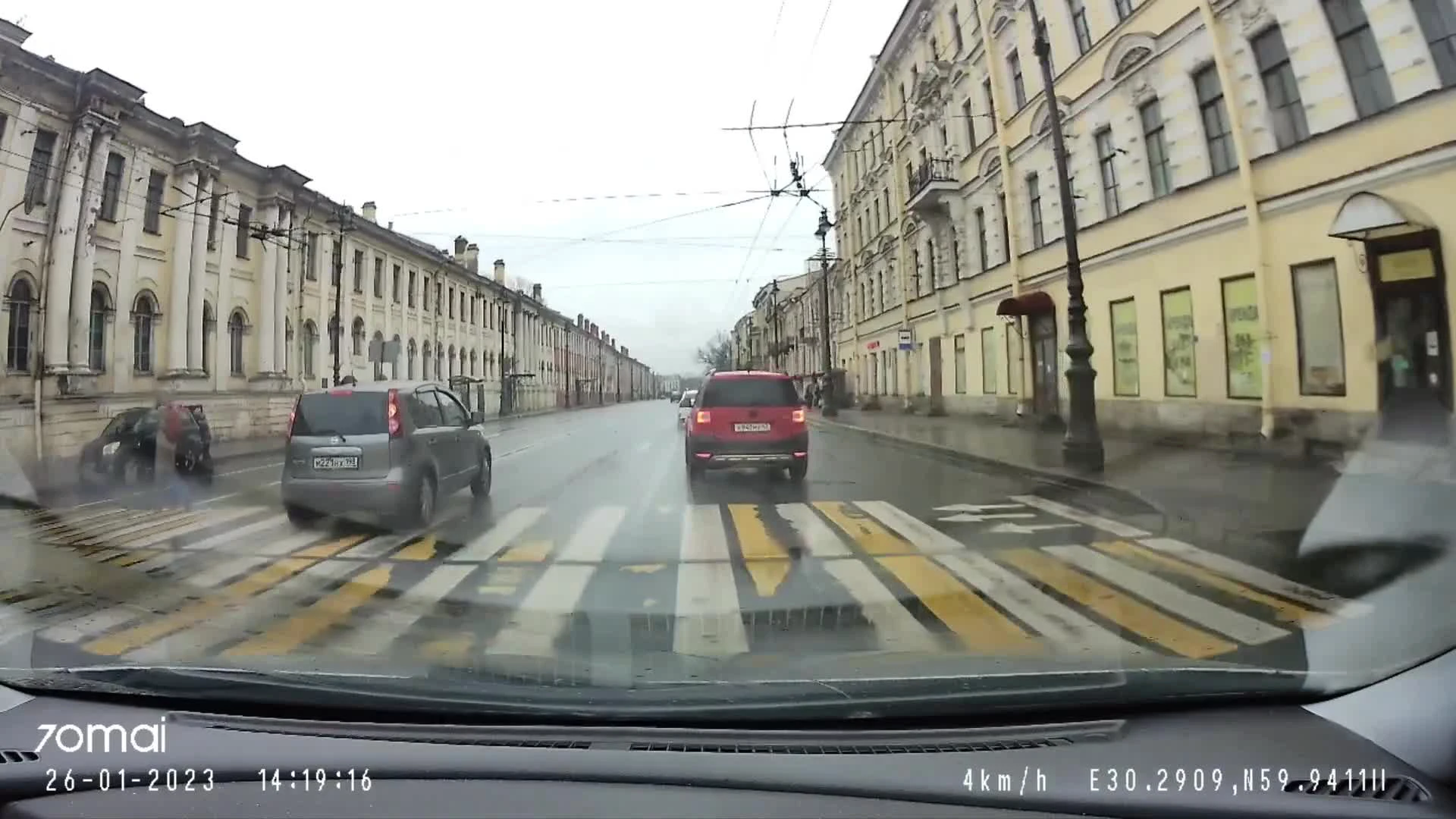 Лось погиб под колесами электрички на севере Ленобласти — Мегаполис