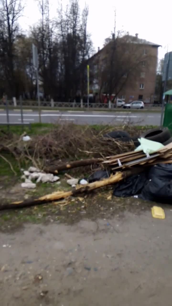 Ленинский район Ярославля завалило мусором: кто должен его вывозить, почему  Хартия не работает - 6 мая 2022 - 76.ру