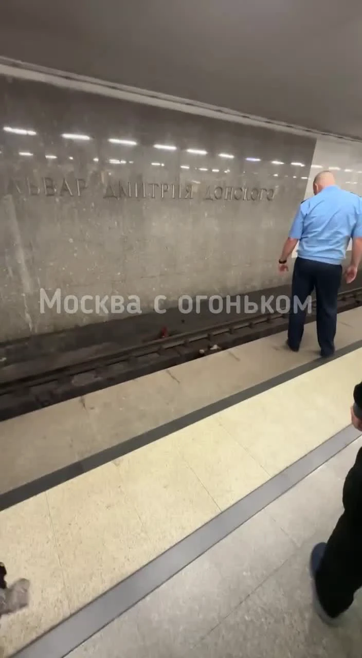 ЧП в Москве: на серой ветке московского метро произошел сбой, почему не  идут поезда от станции «Пражская» в сторону «Улица Академика Янгеля,  человек на путях - 26 сентября 2023 - МСК1.ру