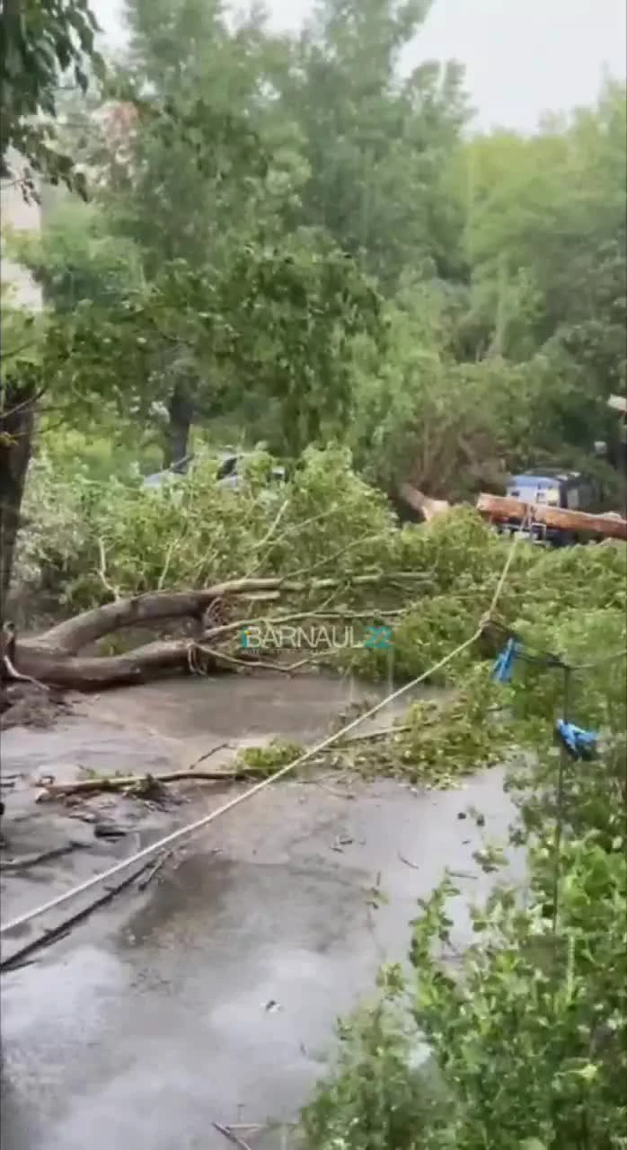 Повалил деревья, выбил окна. Что натворил ураган в Барнауле: фото и видео