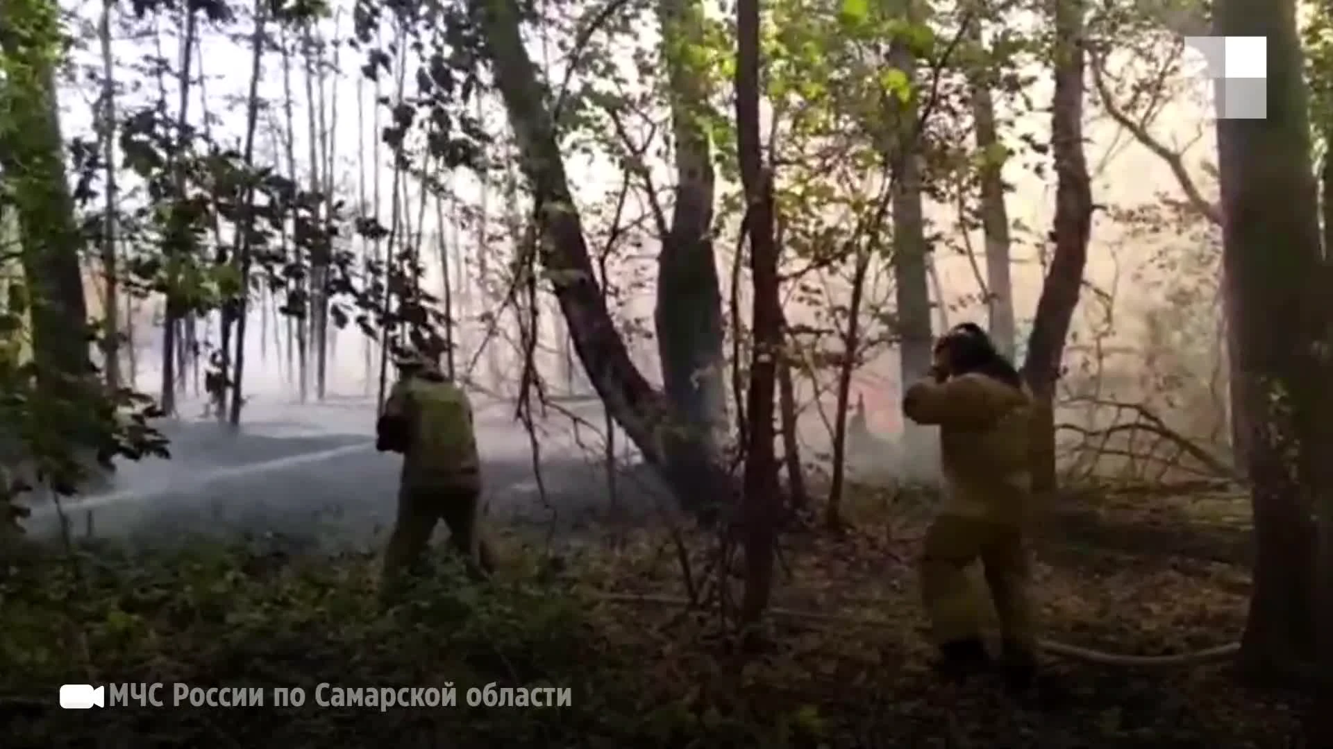 Обстановка в селе Борское во время пожара в Бузулукском бору, рассказали  жители села 23 августа 2021 года - 23 августа 2021 - 63.ру