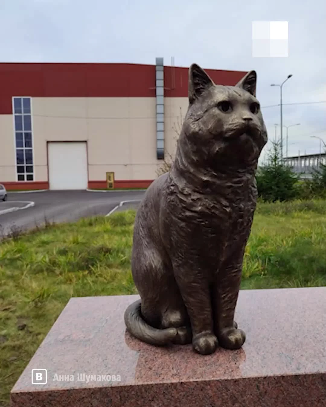 Памятник коту Кузе