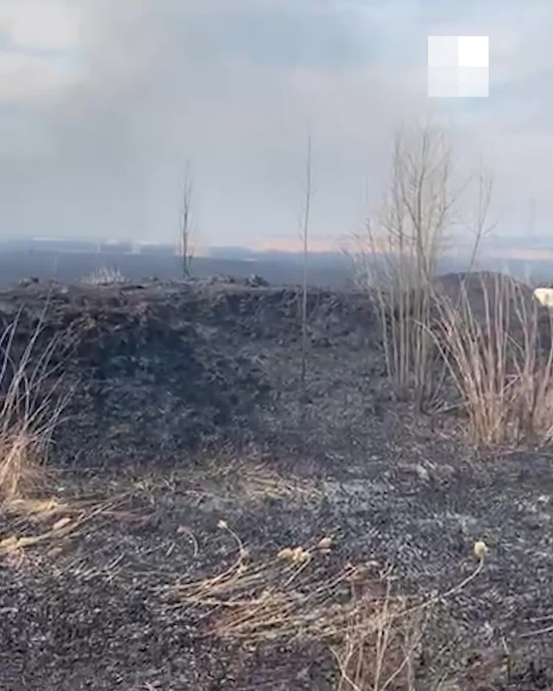 Пожар в районе Рокоссовского в Омске | НГС55.ру - новости Омска