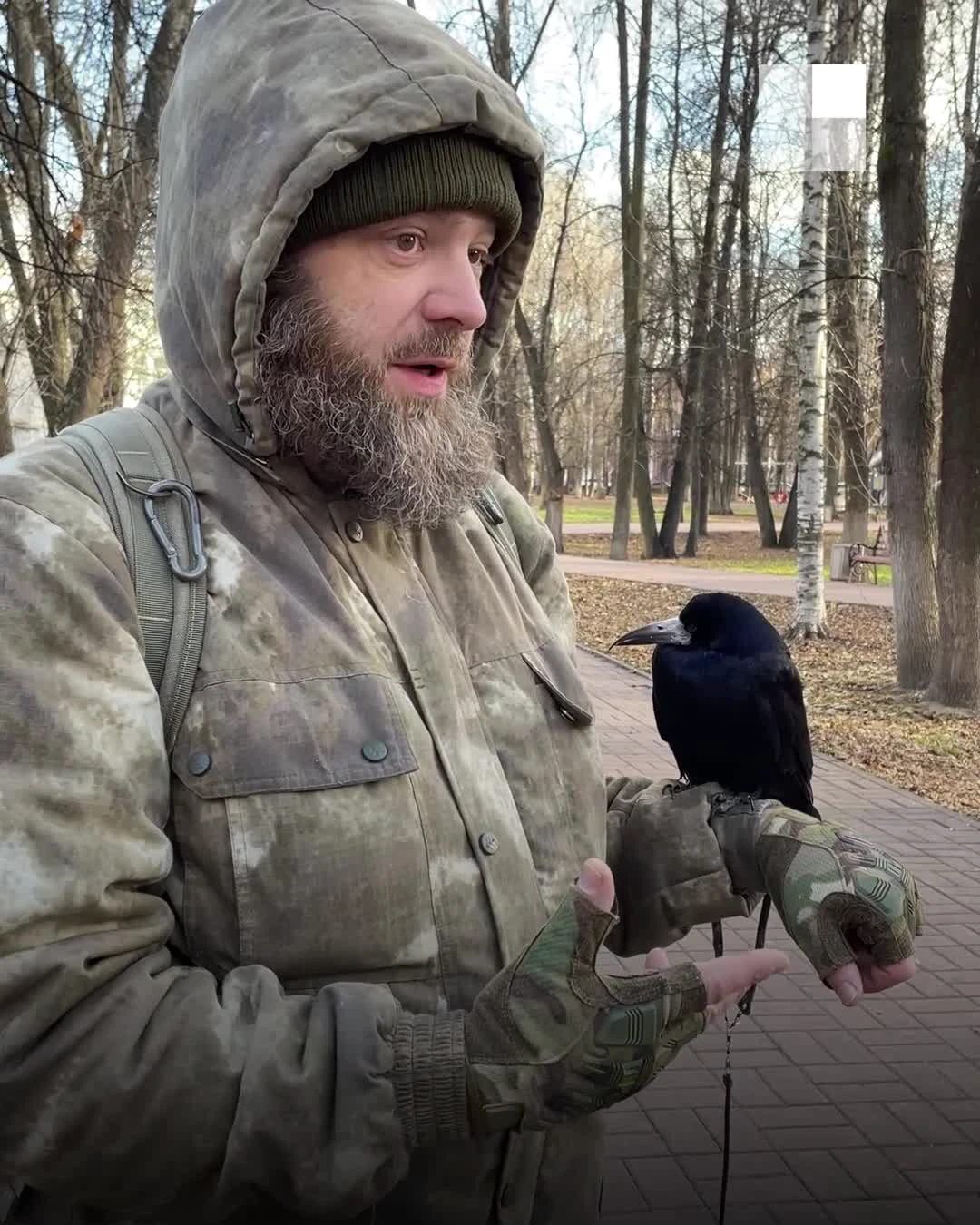 Детский аниматор из Ярославля подрался с таксистом из-за ручной птицы - 28  мая 2024 - 76.ру