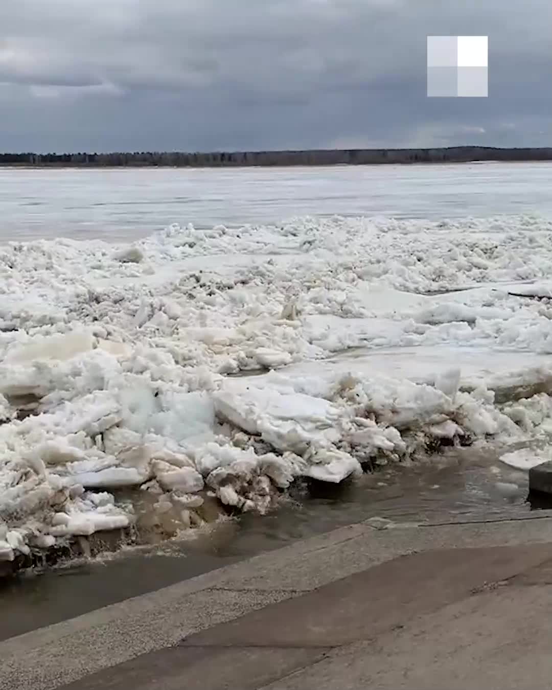 В Гидрометцентре рассказали, когда в Твери начнётся ледоход