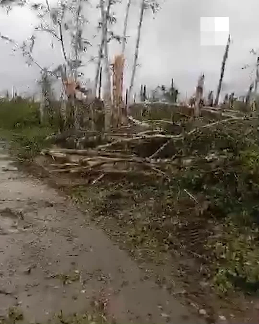 Новосибирцы пугают друга «последствиями торнадо» — жуткие видео рассылают в  мессенджере - 29 августа 2023 - НГС.ру