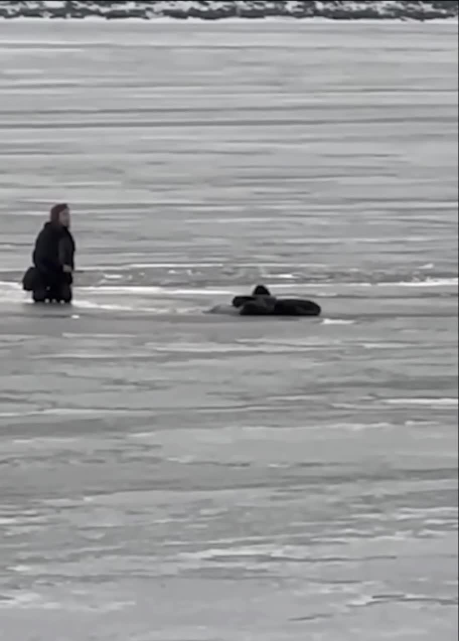 дети порно мальчики В соцсетях появилось видео, где дети проваливаются под лед рядом с «Газпром  Ареной» - 8 марта 2025 | ФОНТАНКА.ру