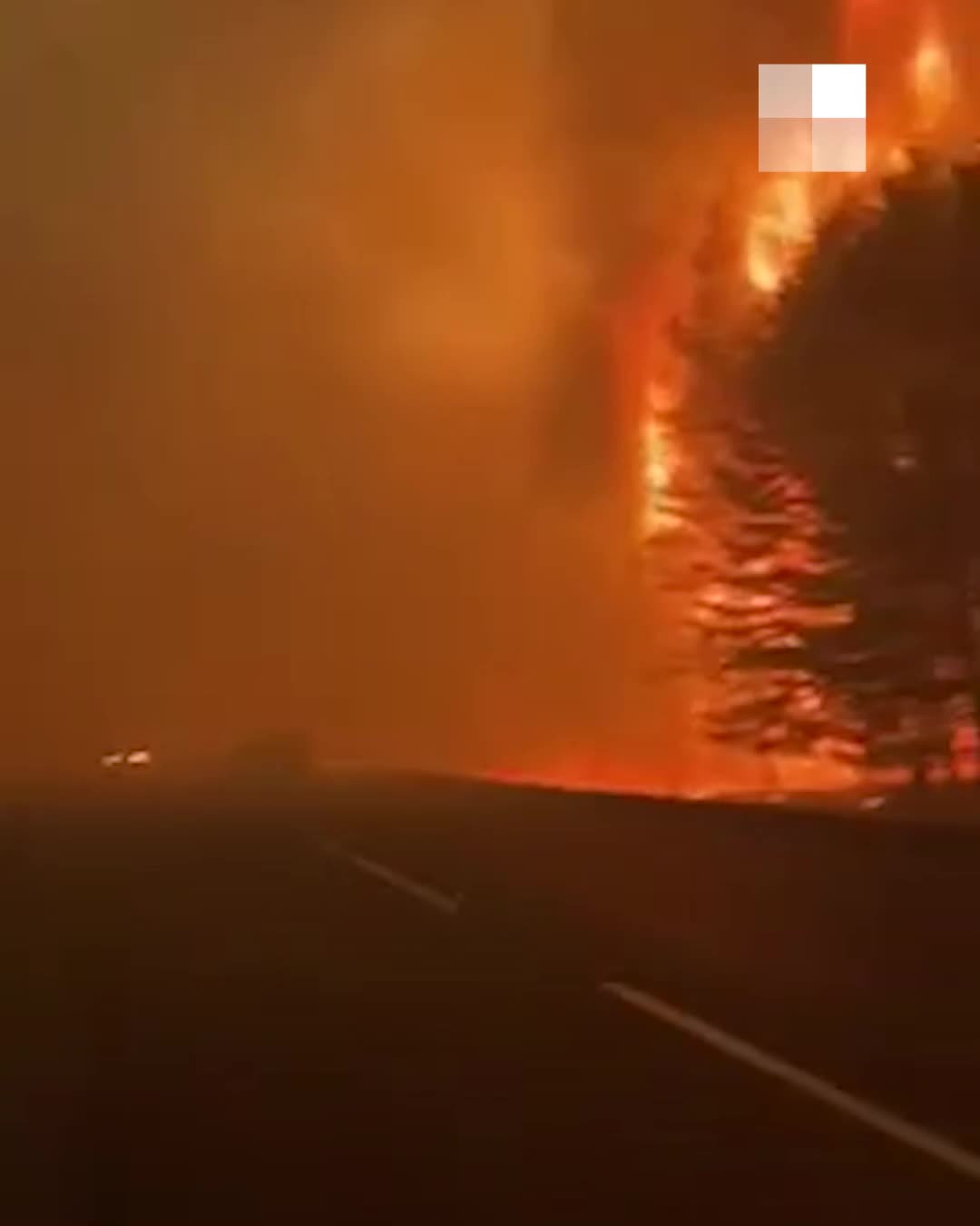 Лесной пожар вспыхнул на трассе Омск — Тюмень - 11 мая 2023 - НГС.ру