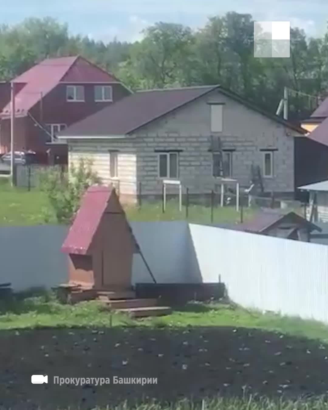 В Башкирии на турник повесили собаку и забили топором видео, 1 сентября  2022 - 1 сентября 2022 - УФА1.ру