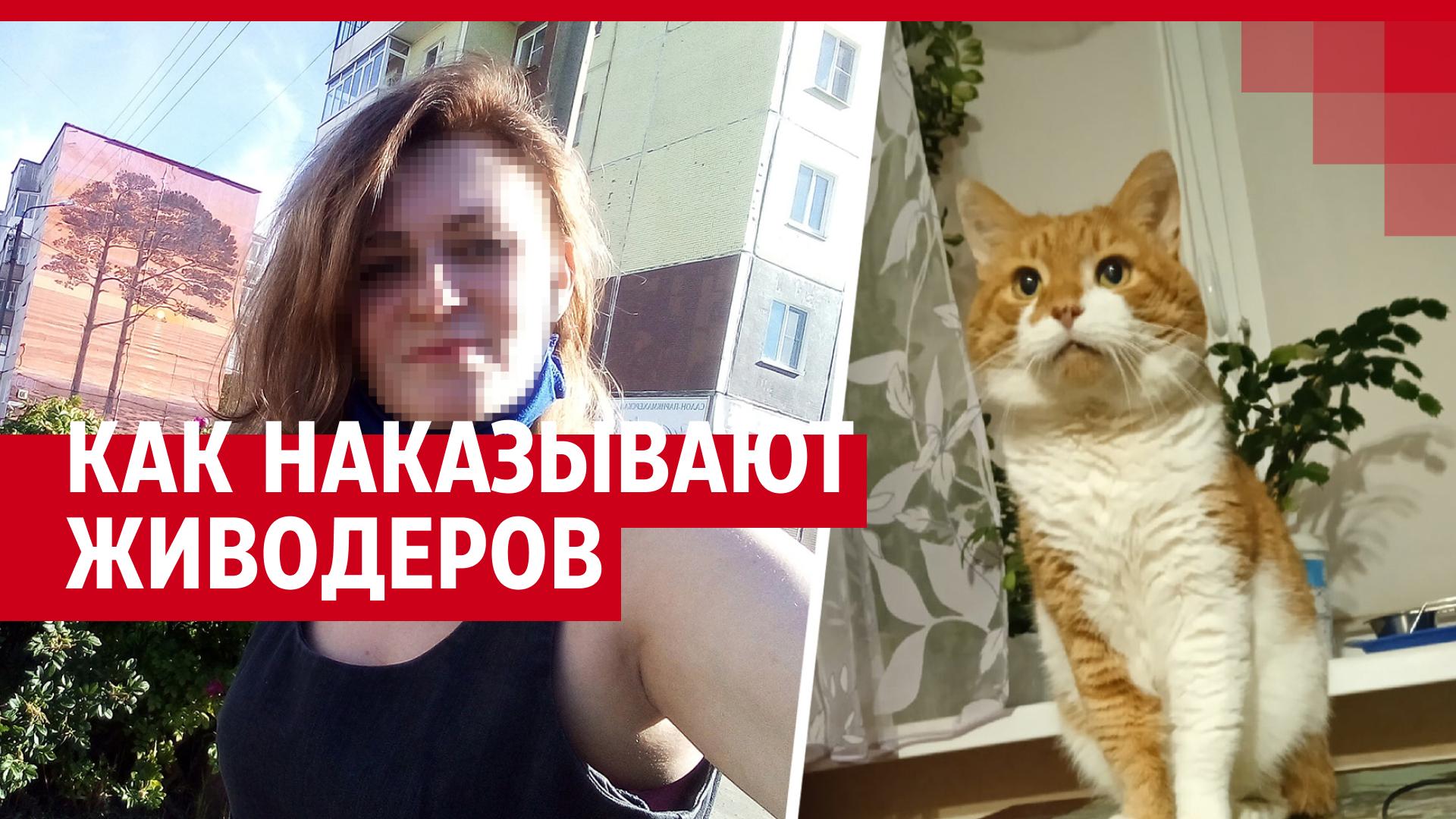 Что будет с убийцами кота Кузи из Северодвинска: как могут наказать  живодеров - 18 октября 2021 - 60.ru