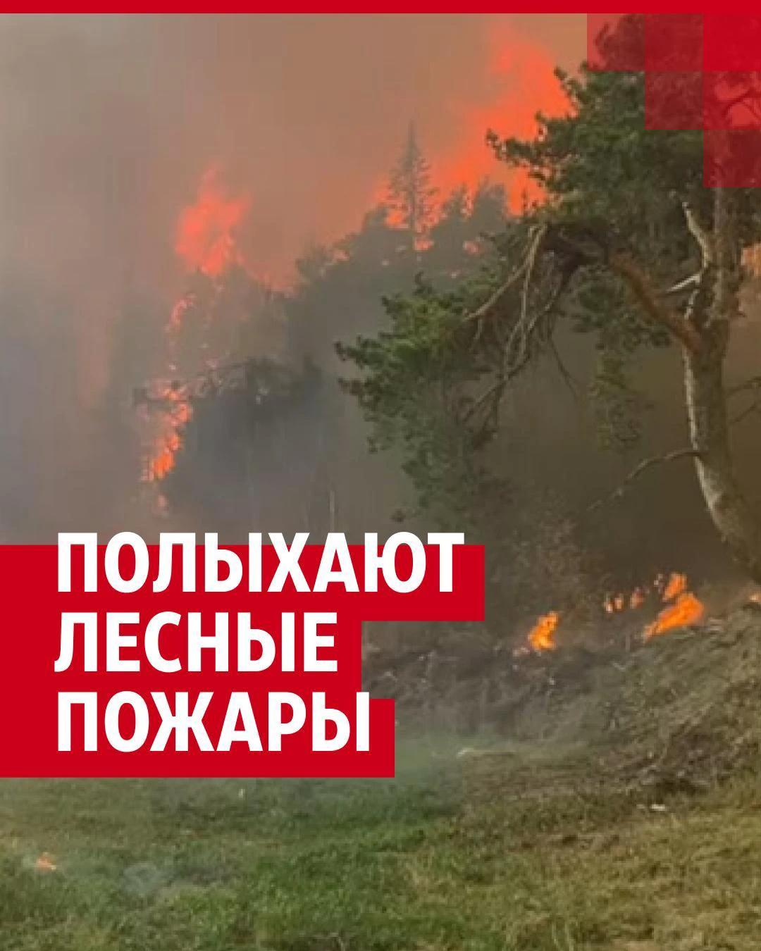 Лесные пожары в России: как горят леса и деревни в Свердловской,  Новосибирской, Тюменской, Курганской областях и Забайкалье - 9 мая 2023 -  НГС