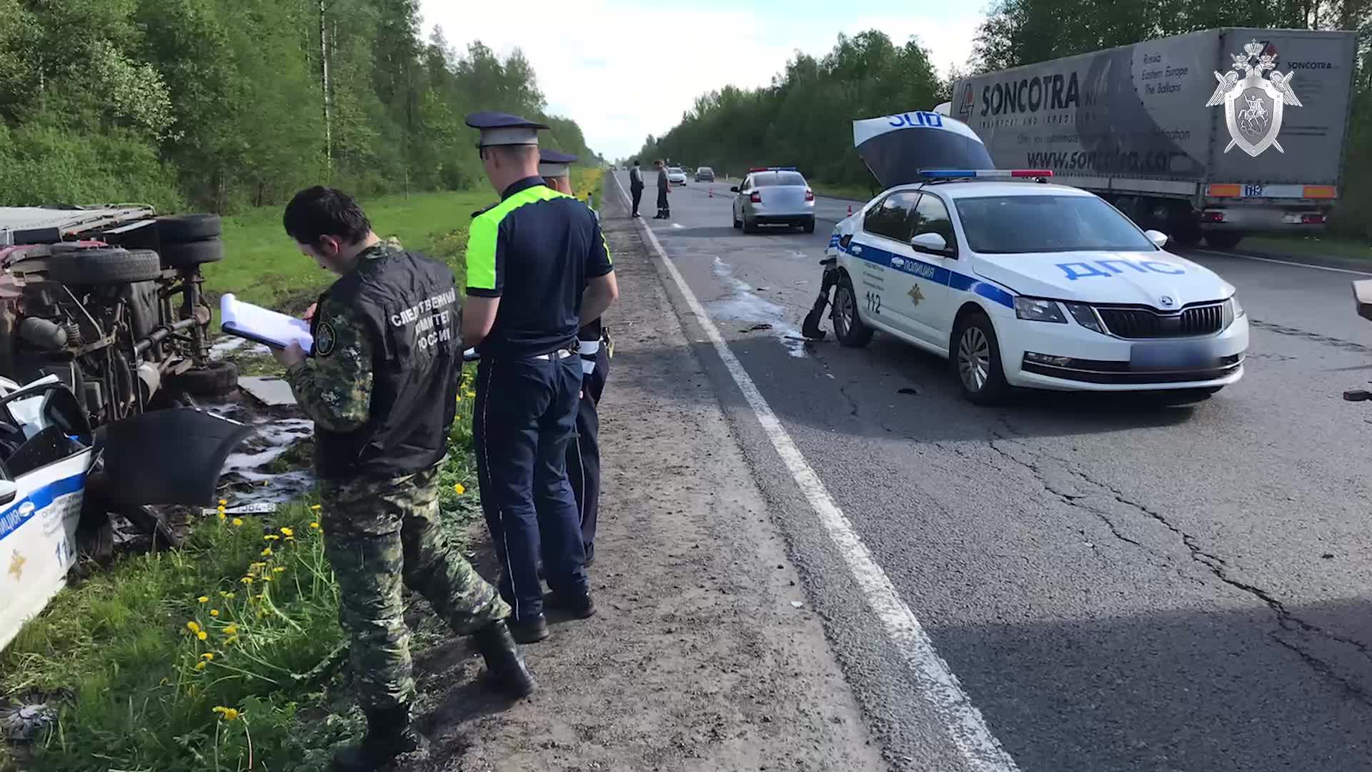 Водитель грузовика, который заболтался по телефону и сбил двух инспекторов  у Выры, стал фигурантом уголовного дела — Мегаполис