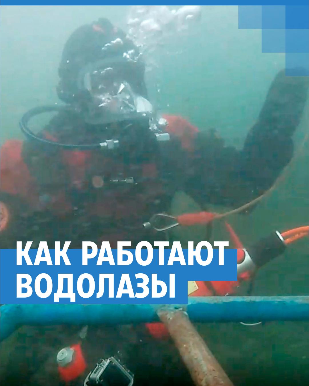 Как водолазы ищут утонувших: что делать, если человек тонет - 2 июля 2022 -  НГС.ру