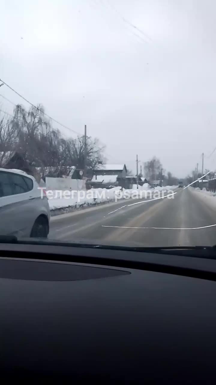 В Самаре дикая косуля устроила забег на проезжей части, видео - 11 марта  2024 - 63.ру