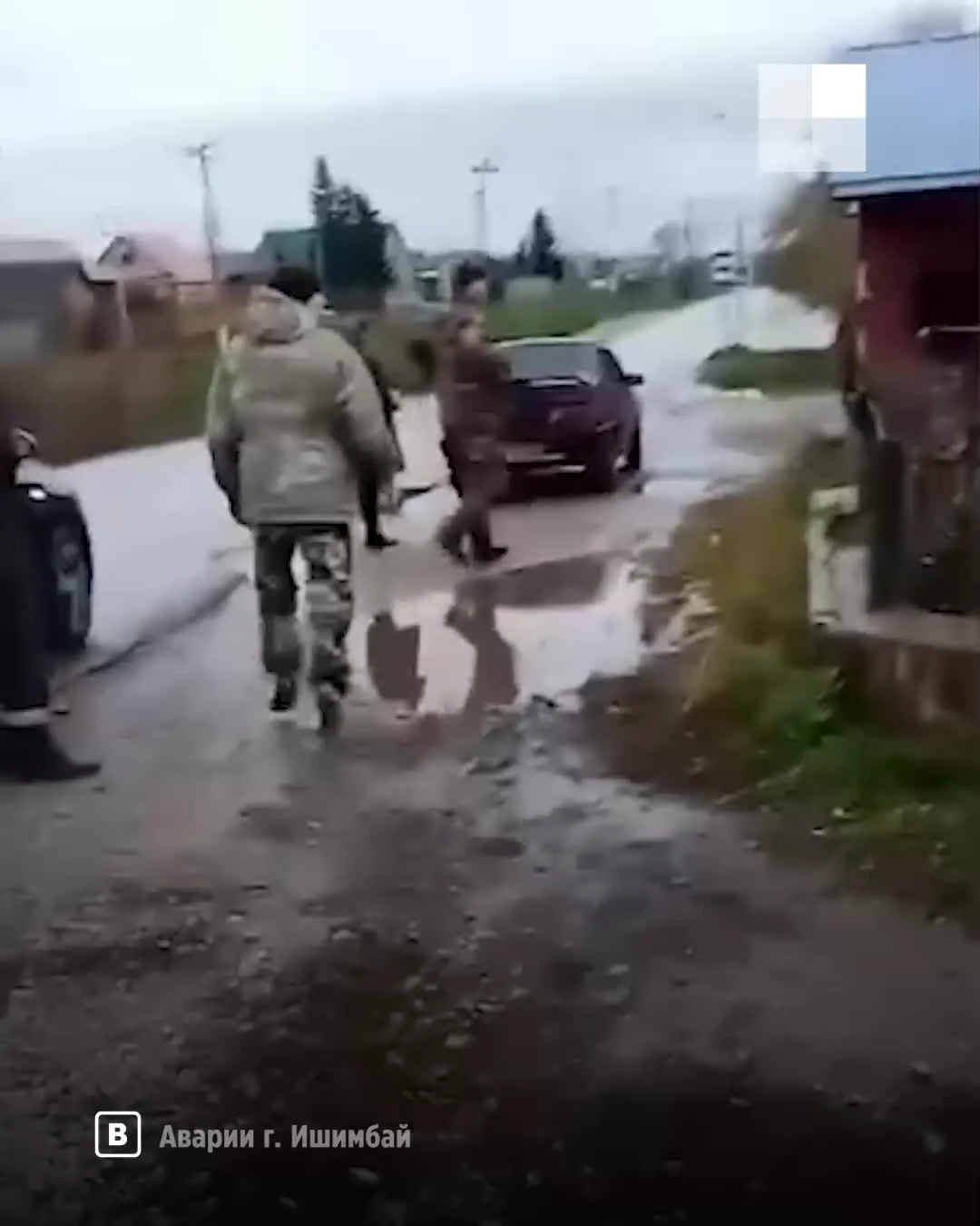 В селе Петровском в Башкирии медведь разодрал руку женщине — видео - 13  октября 2023 - УФА1.ру