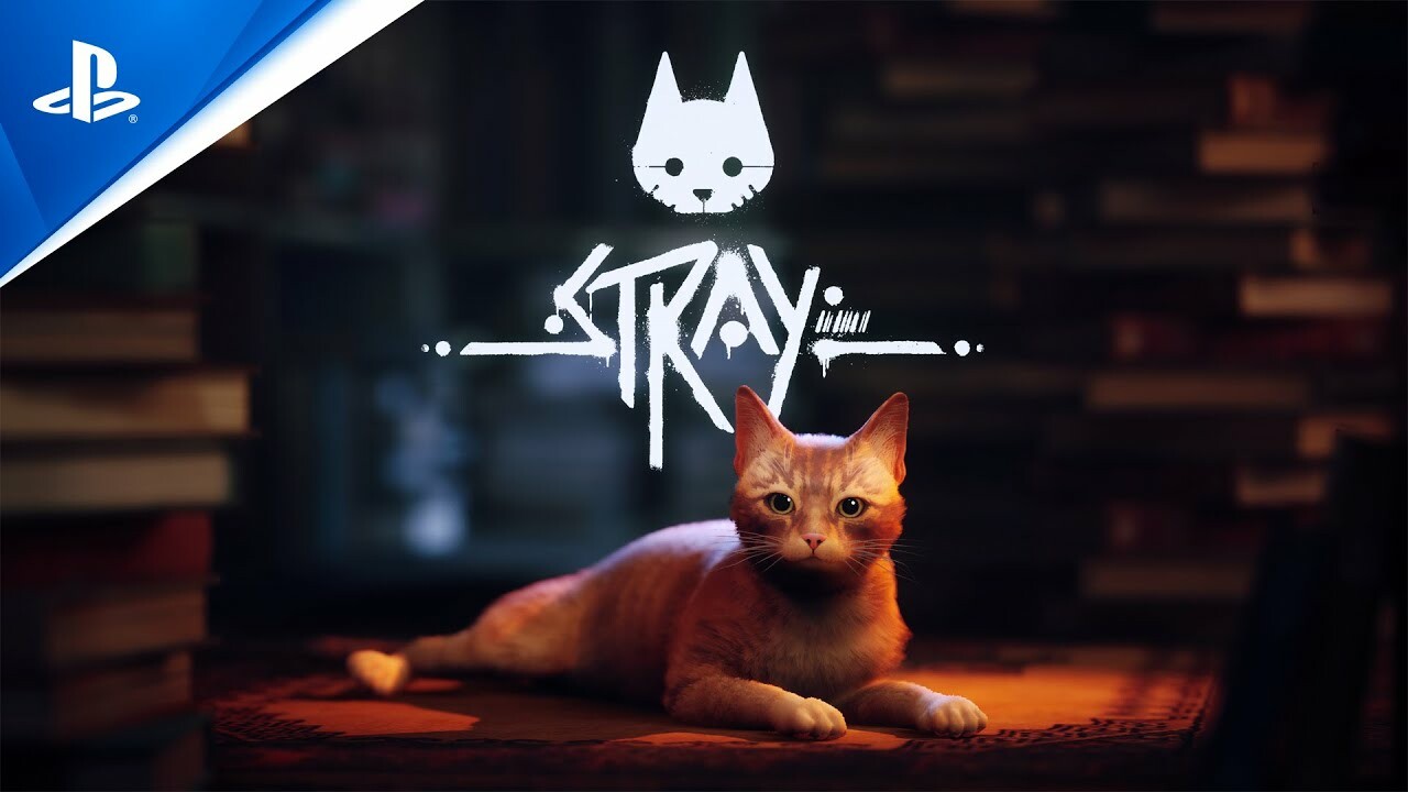 Много не требует: системные требования Stray довольно низкие — Игромания