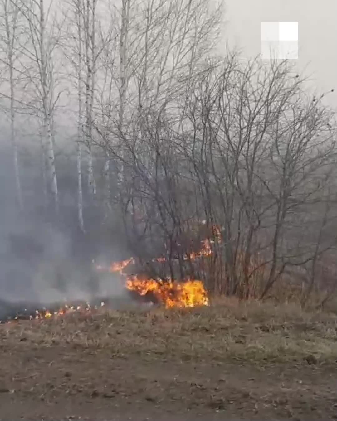 Репортаж из омской деревни Каракуль, которую два года назад уничтожил пожар  - 12 мая 2023 - НГС55.ру