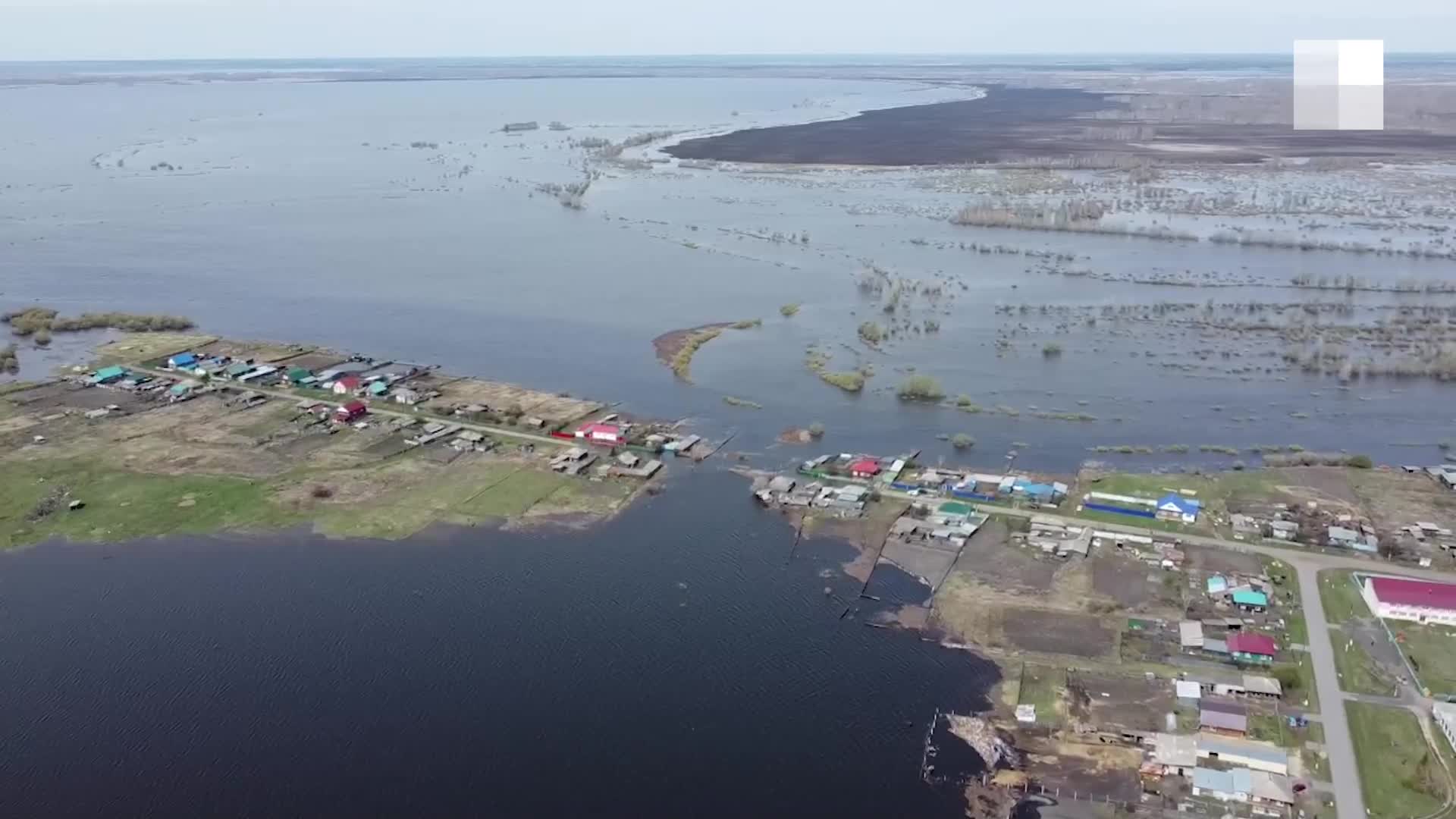 Четвероногие спортсмены покоряют упоровскую трассу