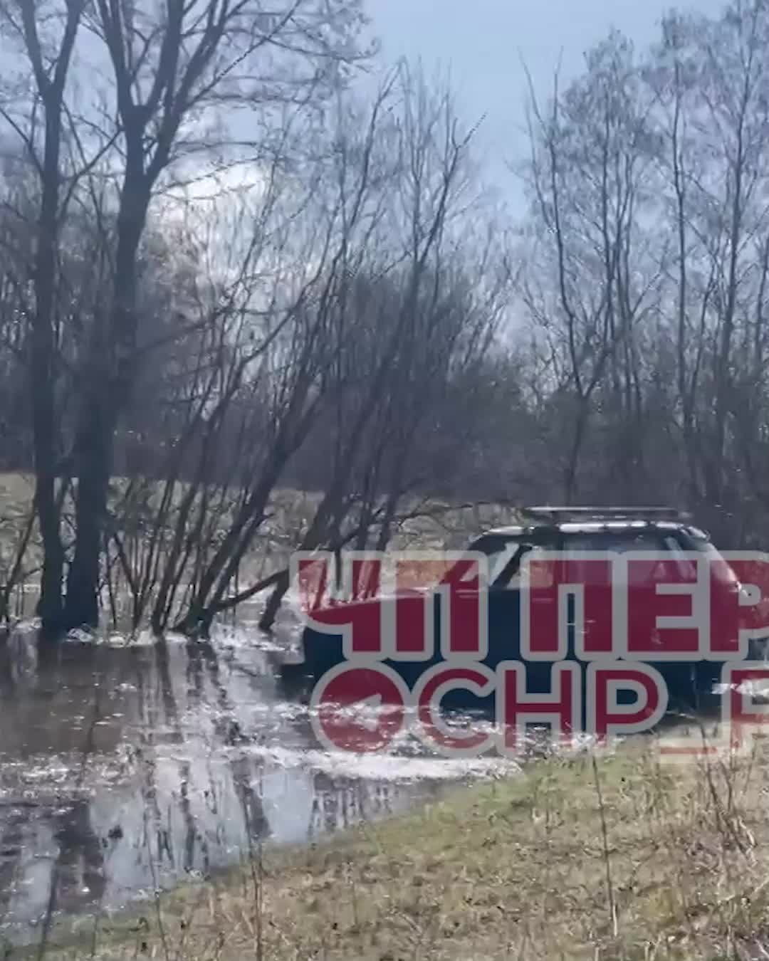 Личный водоем: как сделать пруд на загородном участке