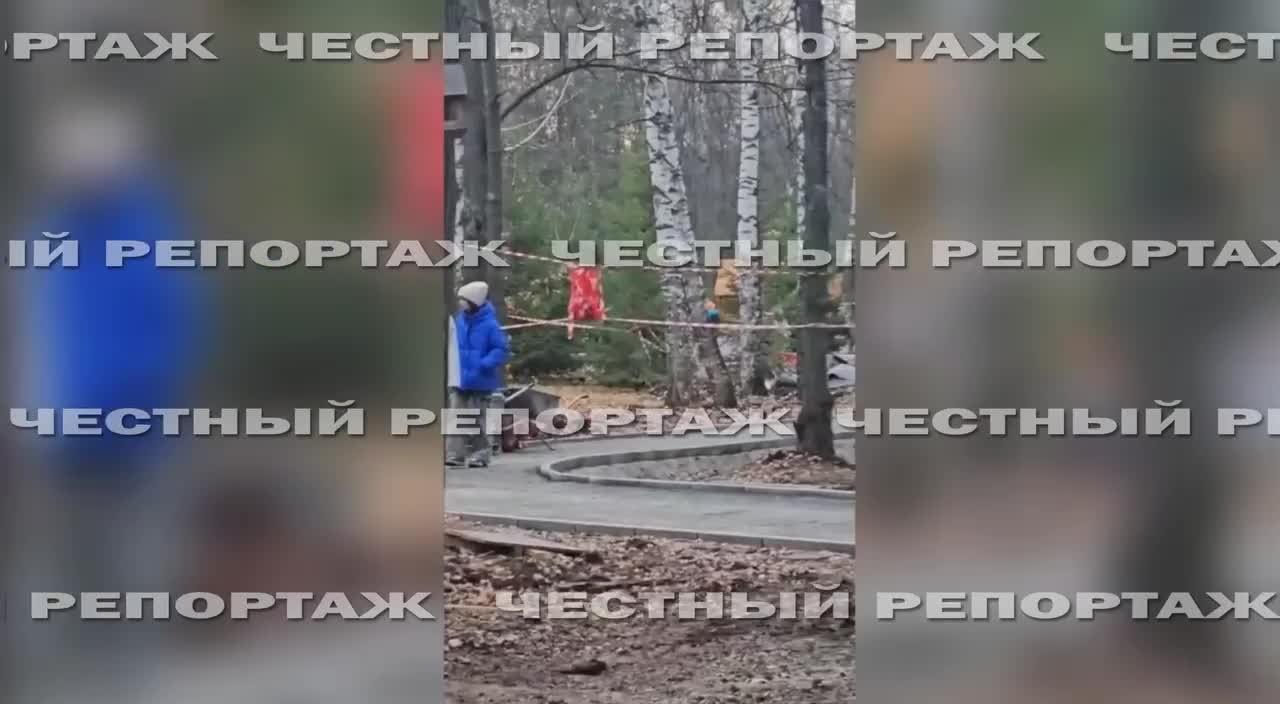 В уфимском Парке лесоводов ребенок сломал челюсть — видео - 12 ноября 2024  - УФА1.ру