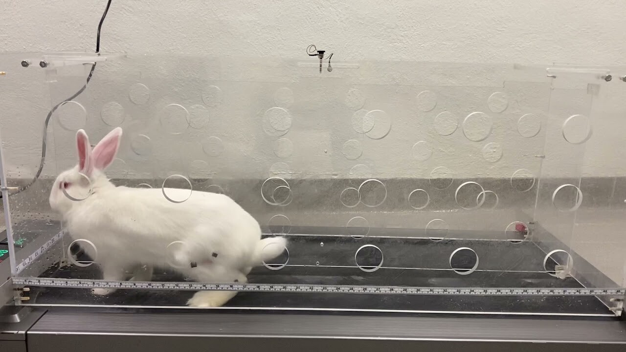 Новый взгляд на проблему