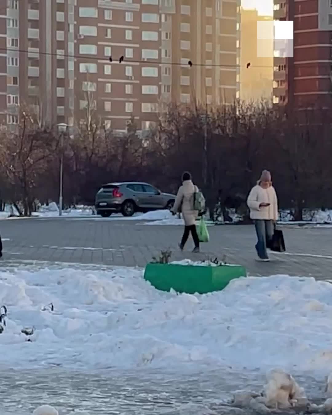 В Екатеринбурге сняли автохама, который внаглую гоняет по парку: видео - 7  ноября 2023 - Е1.ру