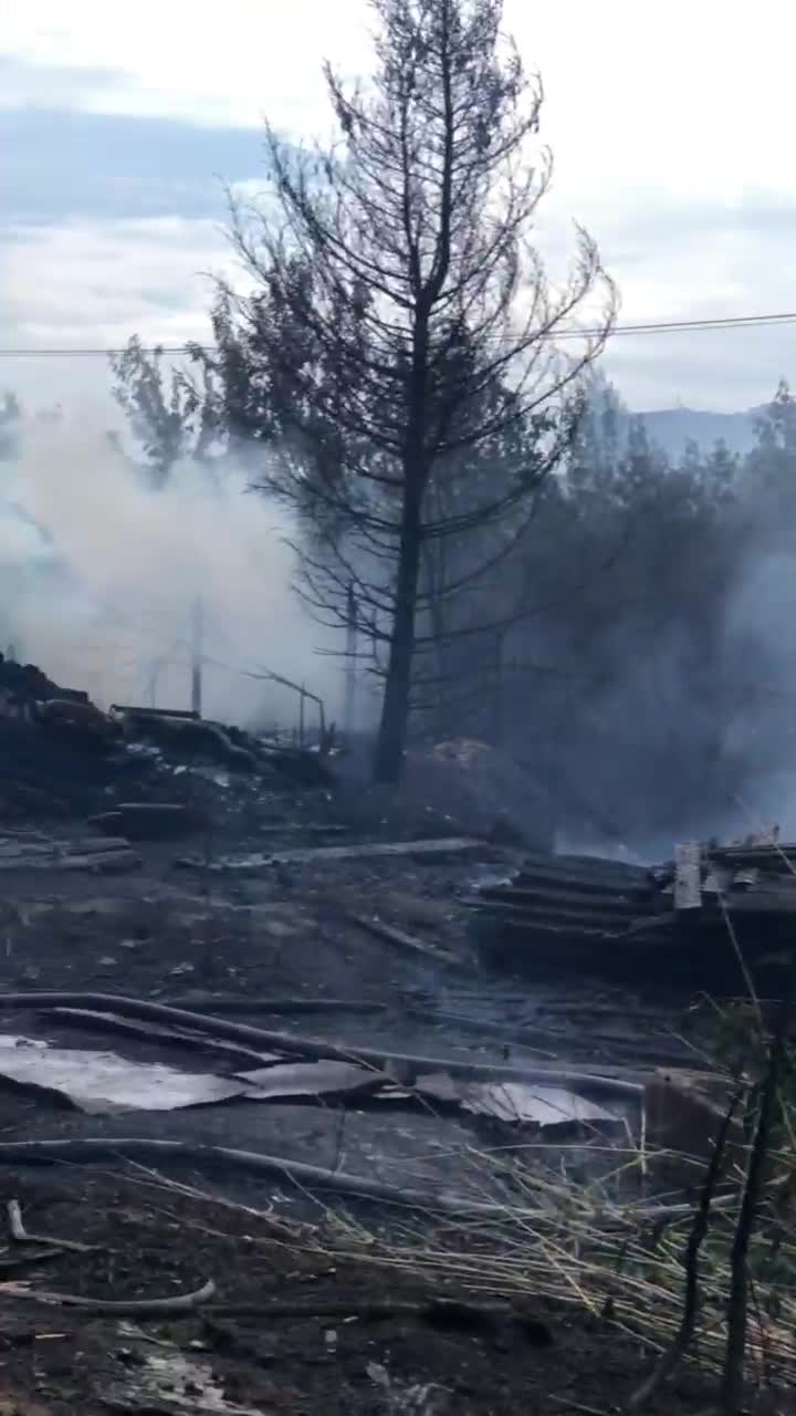 Пожар в Тюмени на улице Сеченова, 24 в Зареке 17 июня 2021 года,  автоколонна 1228 - 17 июня 2021 - 72.ру