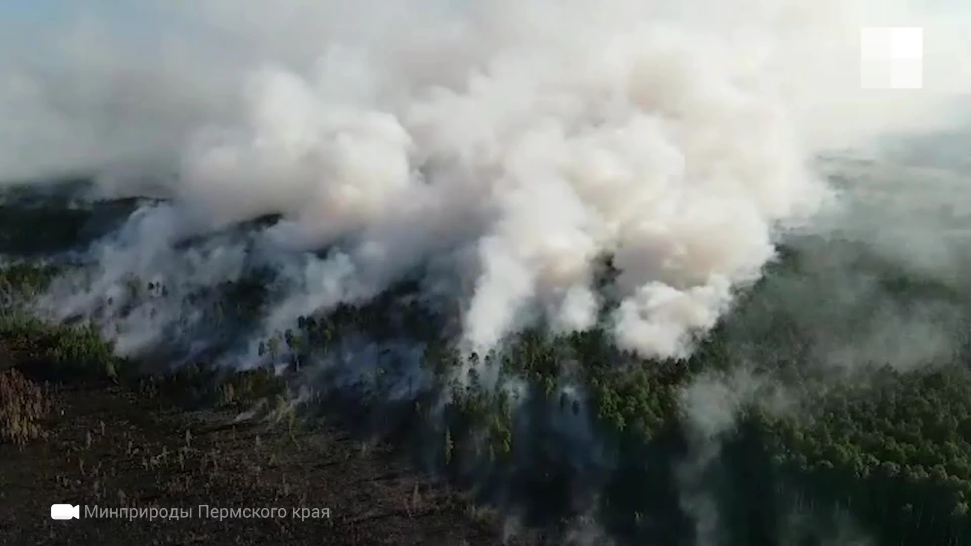 Лесной пожар под Краснокамском сняли с высоты на видео 15 июля 2021 г - 15  июля 2021 - 59.ру