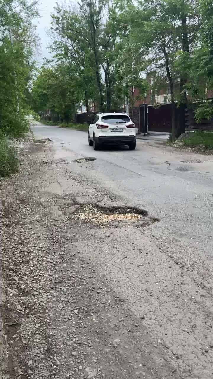 Власти Владивостока не будут ремонтировать дорогу по улице Садгородская  из-за деревьев - 6 июня 2024 - ВЛАДИВОСТОК1.ру