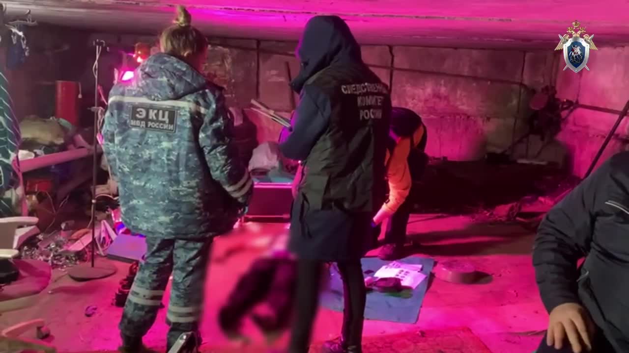 трупы женщн ,  биология для детей, собираем модель человека, изучаем органы купить на OZON  по низкой цене (1765061017)