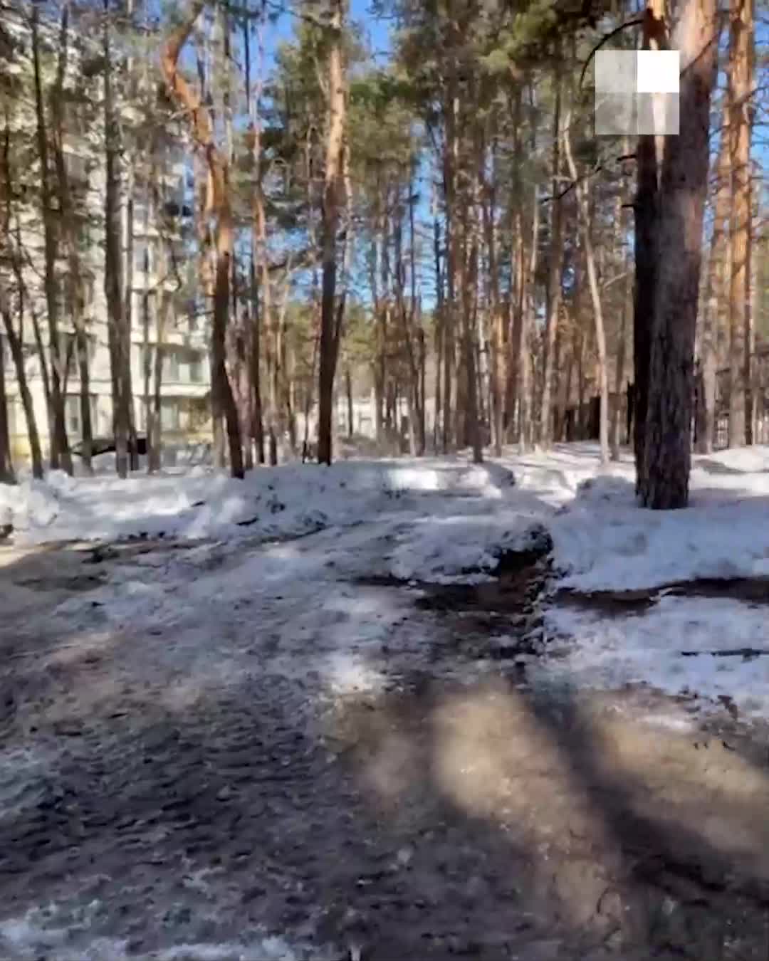 Возле коттеджного поселка «Соколиная гора» в Каштакском бору начали строить  жилой дом, срубать деревья - 27 марта 2024 - 74.ру