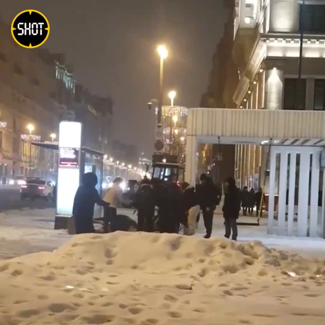 В Москве двух лошадей ударило током, одна умерла на месте — видео - Вести  Московского региона