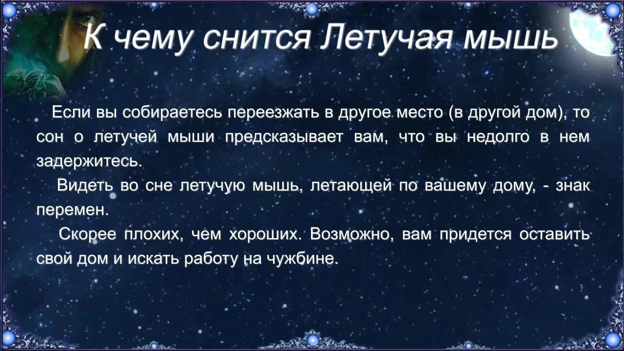 К чему приснилась летучая мышь | Предсказание-24.ру