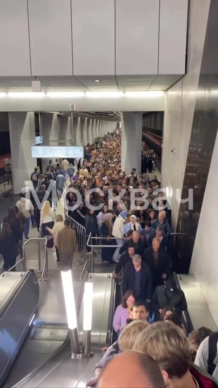 Толпы пассажиров собрались на входе и в переходе в метро Москвы: в  столичной подземке образовался коллапс на юге, что известно, почему очереди  на Павелецкой и в переходе с Калужской на Воронцовскую, фото