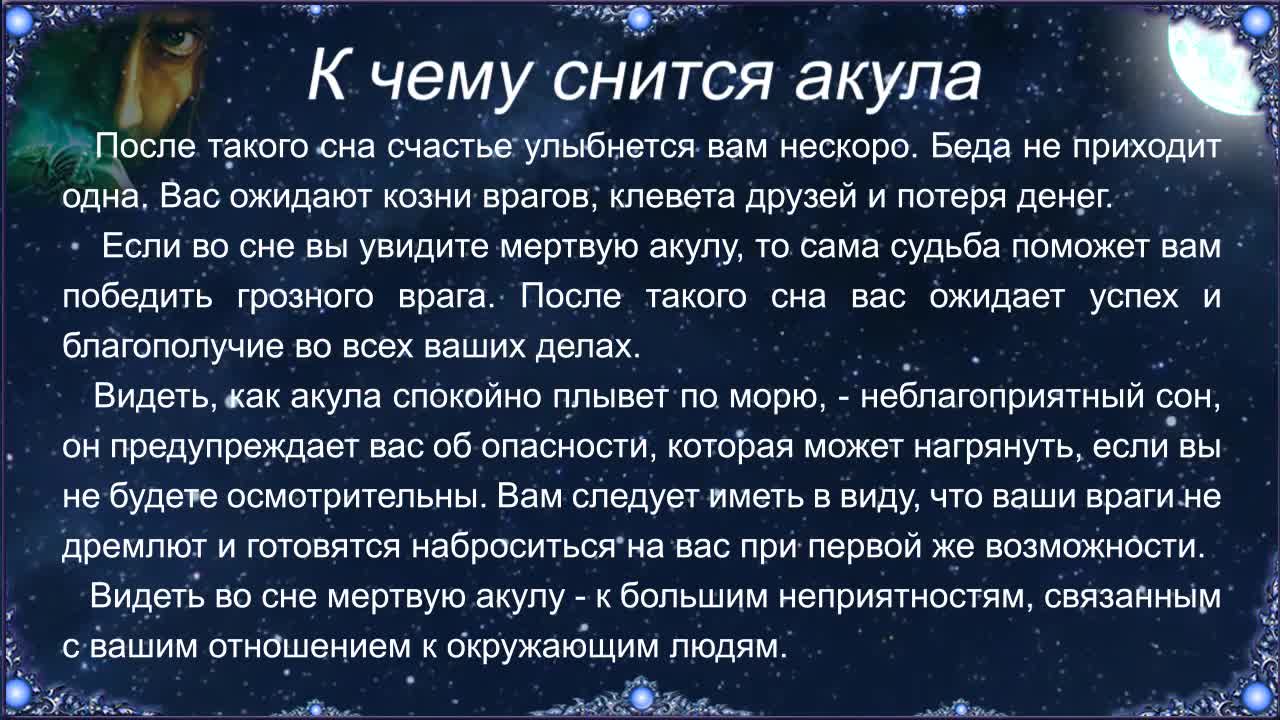 К чему снится акула во сне: женщине, мужчине, в воде, в море, плавает,  нападает :: Гороскоп :: Клео.ру