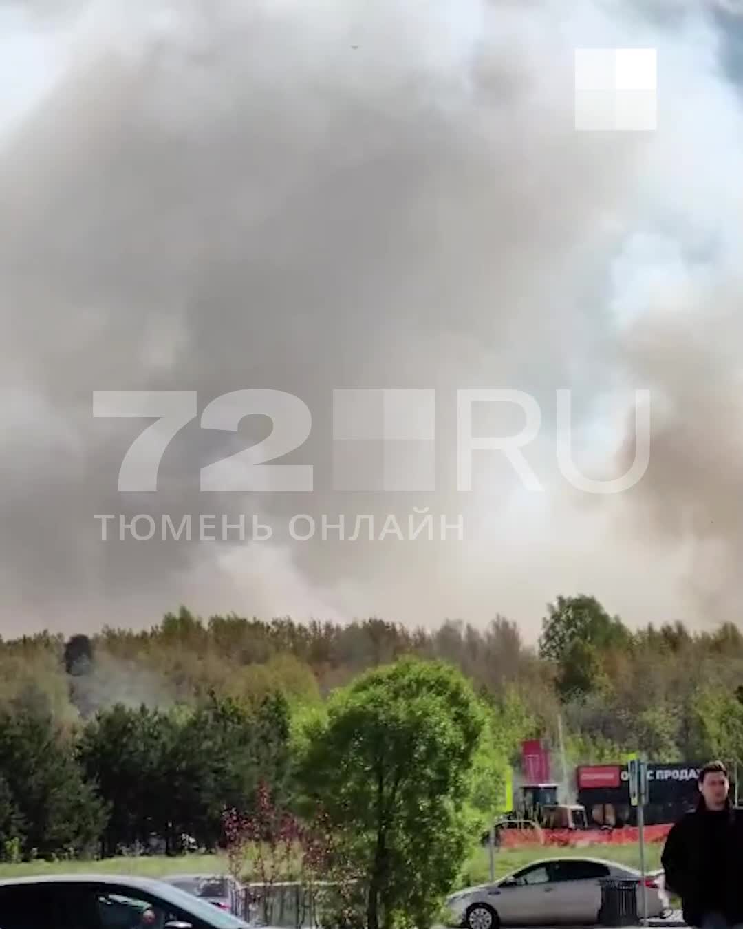 Пожар в Тюменской слободе: парк Комарово, мангальная зона, возгорание,  горит лес - 30 мая 2024 - 72.ру