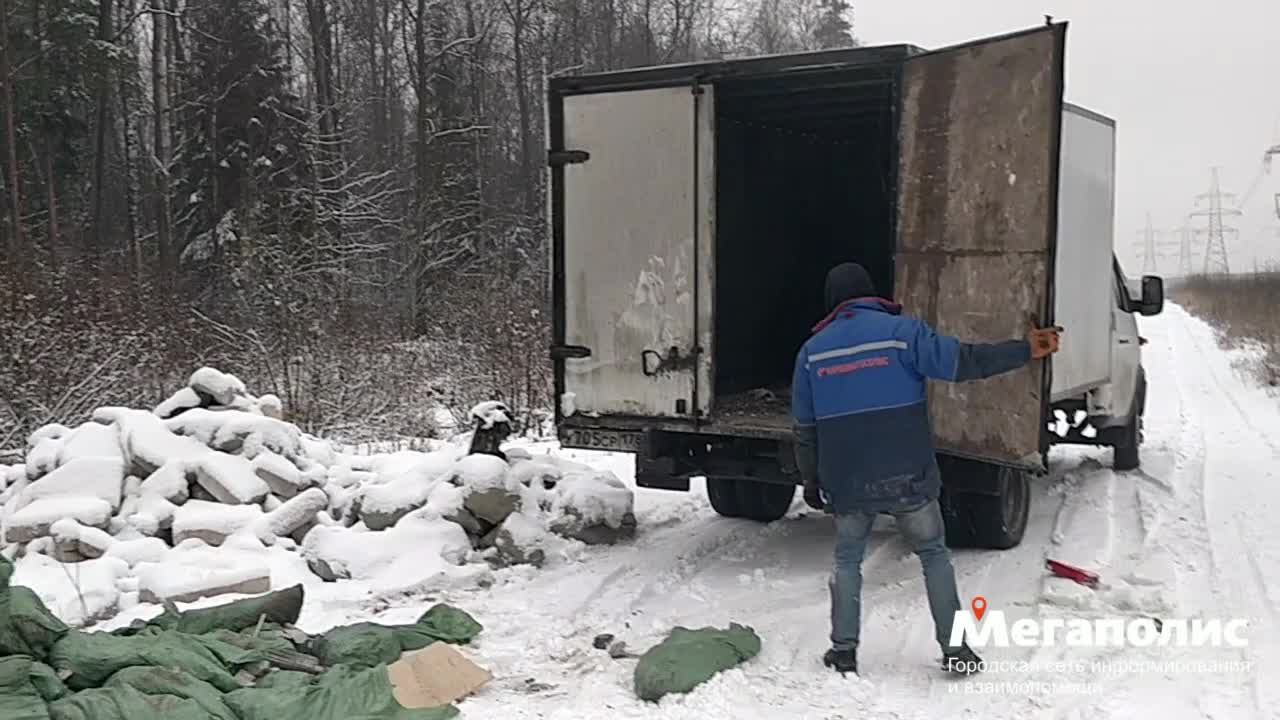 Петербуржец пытается добиться наказания молодых людей, которые на его  глазах бросали мусор в Ржевском лесопарке — Мегаполис