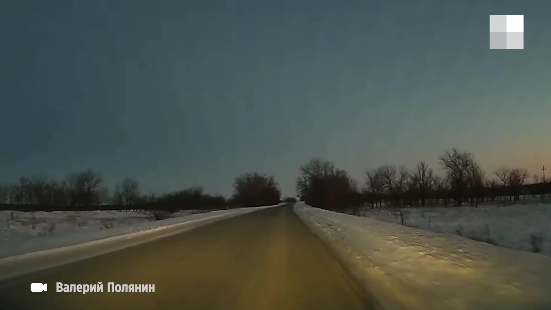 Под Волгоградом огромное животное с бешеной скоростью вылетело на дорогу —  видео - 14 января 2024 - V1.ру