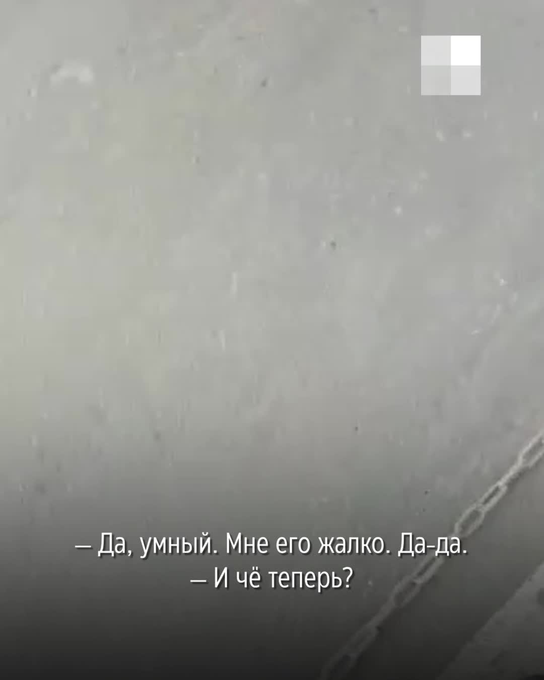 Полиция проверит видео с собакой, которую на цепи машина тащила по трассе в  Забайкалье - 28 апреля 2023 - ЧИТА.ру