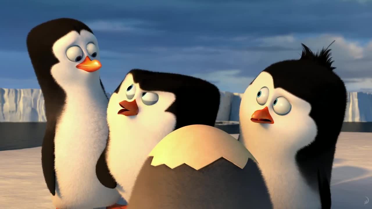 Три пингвина завтра. Пингвины Шкипер Ковальски Рико прапор. 3 Пингвина Мадагаскар. Пингвины из Мадагаскара 3 пингвина. Три пингвина из Мадагаскара.