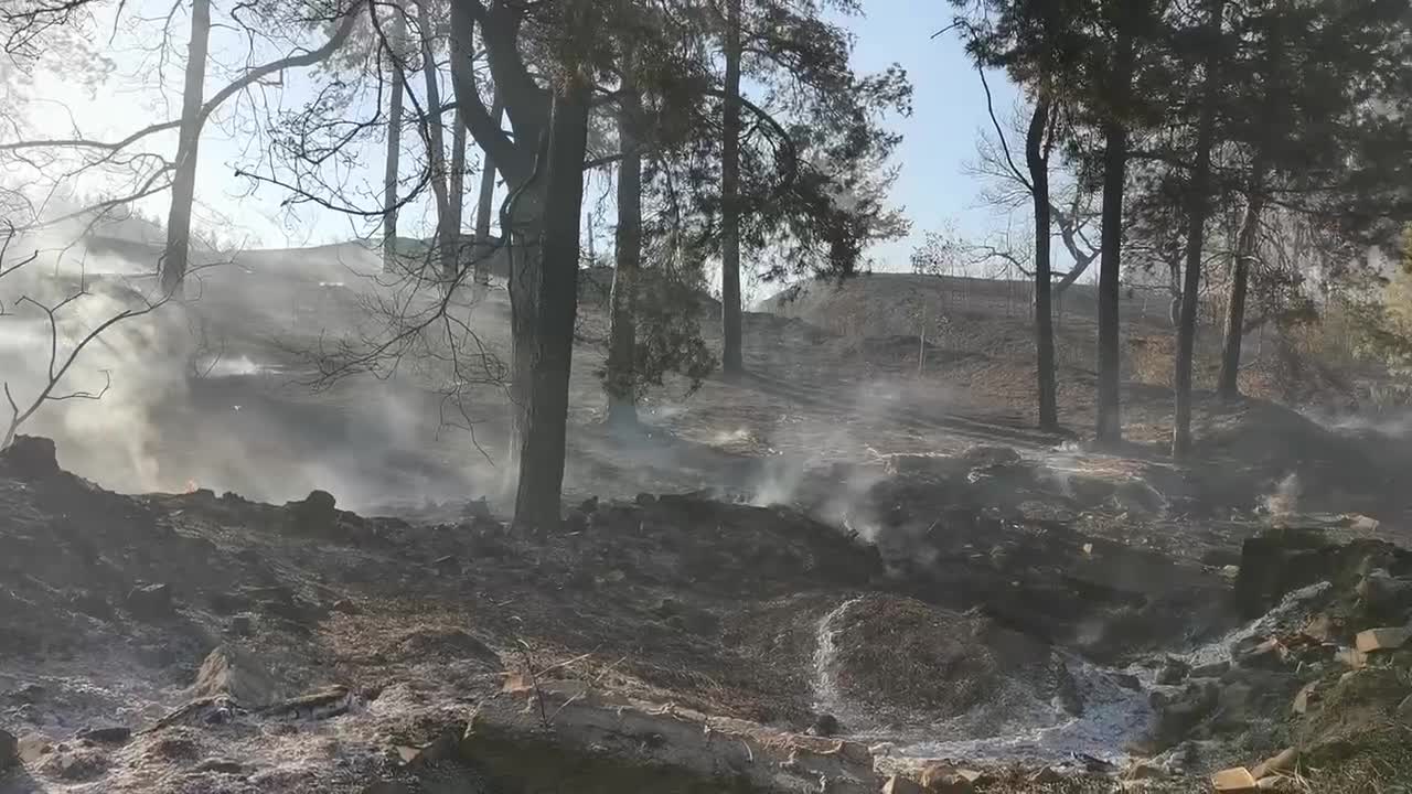 Видео пожара в Тольятти - 7 августа 2023 - 63.ру