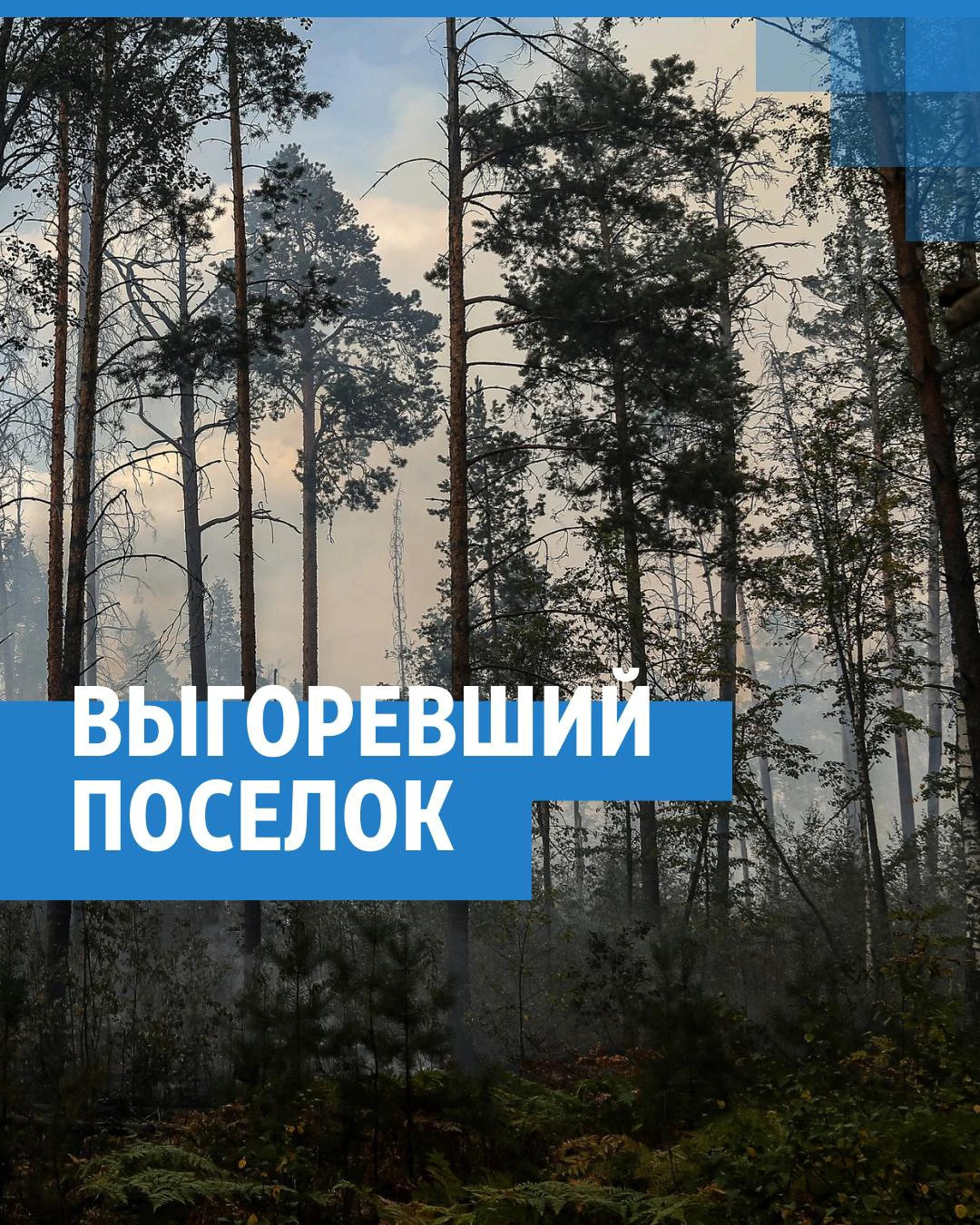 Пожар под городом Саров: огонь уничтожил поселок Стеклянный под  Первомайском, какая сейчас ситуация с лесными пожарами в Нижегородской  области - 26 августа 2021 - НН.ру