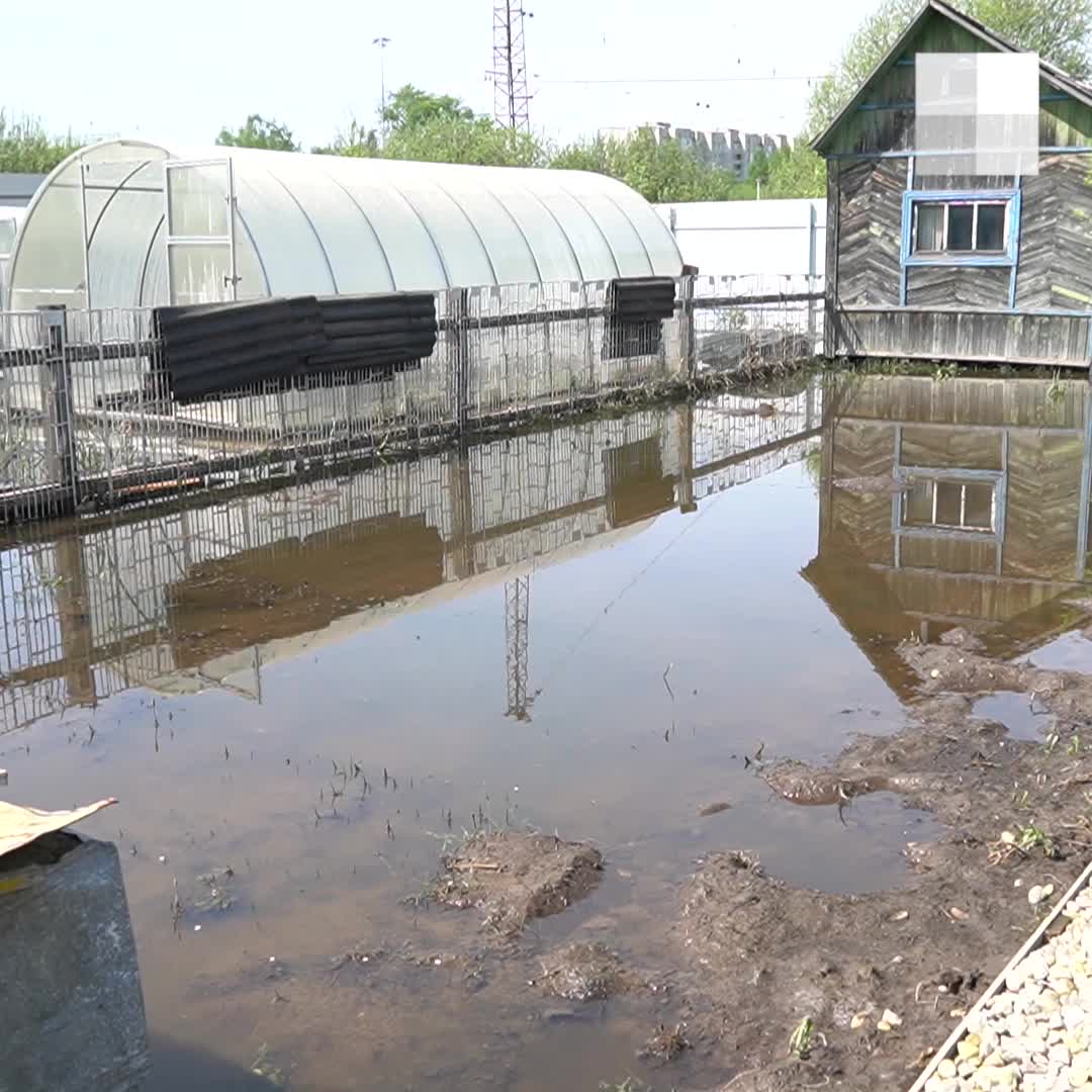 В Ярославле затопило дома и участки в Заволжском районе 18 мая 2021 г. - 18  мая 2021 - 76.ру