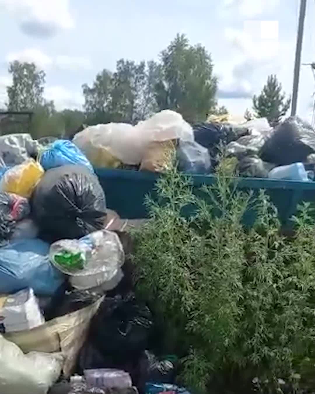 В Быстровском сельсовете Новосибирской области пересмотрят график вывоза и  увеличат количество контейнеров 15 июля 2022 г. - 15 июля 2022 - НГС.ру