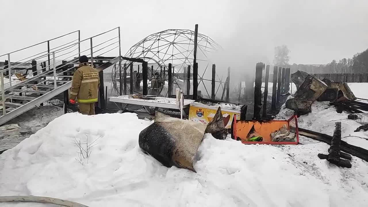 Пожар в хаски-парке «Таежная Сказка» в Челябинской области: видео - 1  февраля 2024 - 74.ру