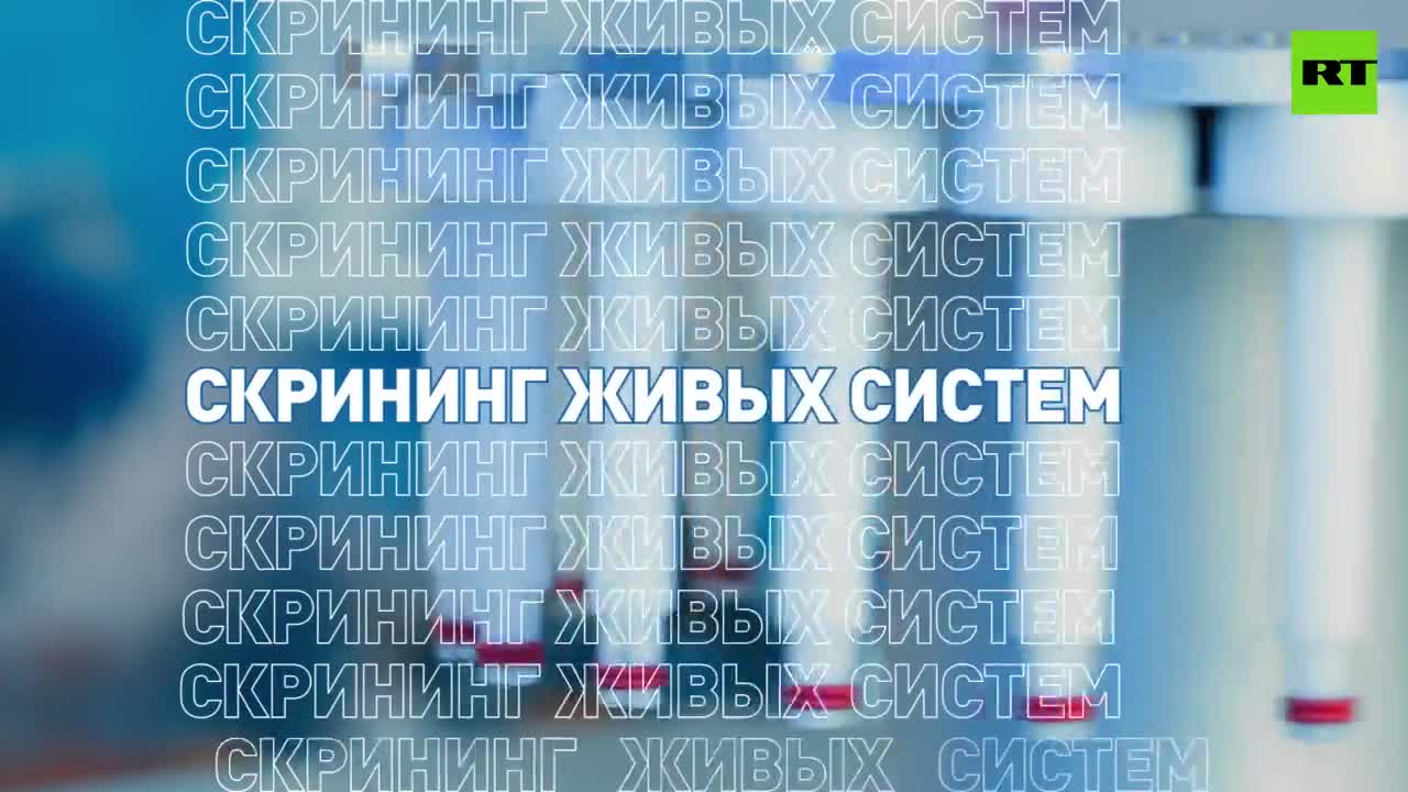 В ТюмГУ рассказали о программе развития университета до 2030 года — РТ на  русском