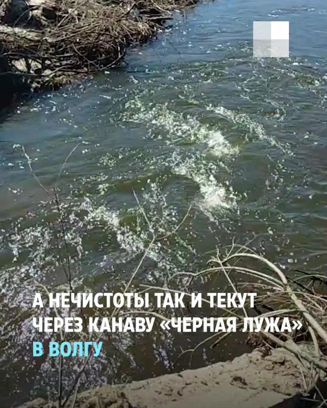 Под Ярославлем обнаружили многокилометровую фекальную реку, которая несет  угрозу распространения инфекционных заболеваний: фото, видео и  предупреждения биологов | Под Ярославлем канализация стекает в Волгу - 19  апреля 2022 - 76.ру