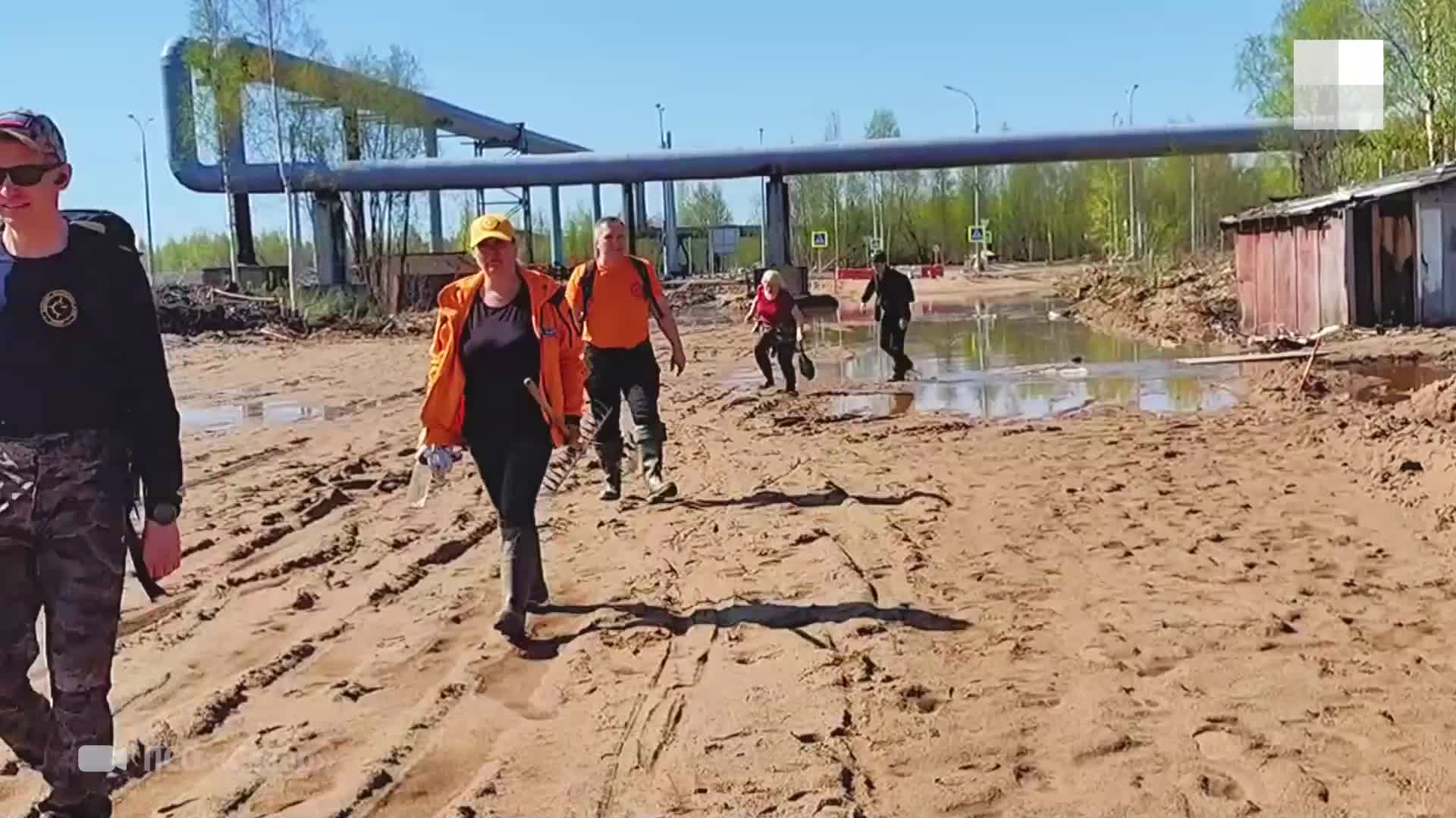 В Архангельске ищут тело новорожденного, которого родили в туалете - 31 мая  2024 - 29.ру